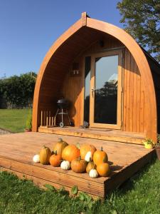 Garden Cottage Glamping Pod外面的花园