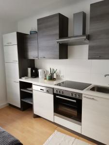 Kuchyň nebo kuchyňský kout v ubytování Central Alpha Apartment 7min to the city centar
