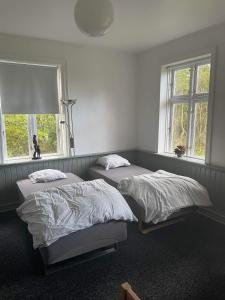 two beds in a bedroom with two windows at Toppenbjerg's B&B in Vestervig