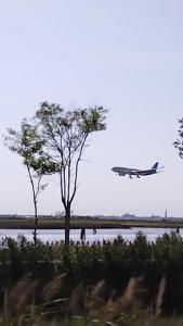 泰瑟拉的住宿－"Fly to Venice" Airport，风筝在天空中飞过一排水面