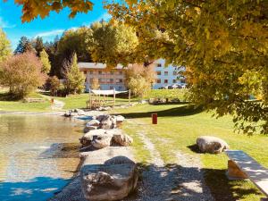 a river with rocks and a building in the background at Pradas Resort Brigels in Breil/Brigels