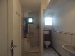 a bathroom with a shower and a toilet and a sink at villa cocotiers in Sainte-Marie