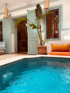 una piscina con una planta junto a una casa en Riad Gasämbre Touareg, en Marrakech