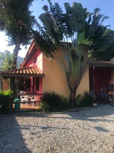 a palm tree in front of a house at CHALÉS DO GIBA in Maresias