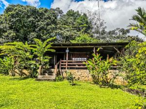 a small house in the middle of a green field at Cabañas Montañas del Tenorio in San Rafael