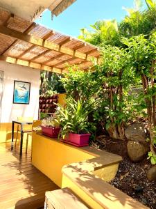 un patio avec des plantes en pot et une terrasse en bois dans l'établissement studio Ti caz bonheur, à Le Lambert
