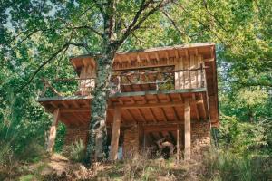 une cabane dans les arbres au milieu d'une forêt dans l'établissement Lake House I // Alauzet Ecolodge + Nature spa, à Castelnau-de-Mandailles