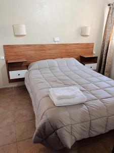 a bedroom with a large bed with a wooden headboard at Hospedaje Los Ilustres in Tunuyán