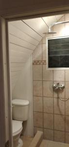 a bathroom with a toilet and a walk in shower at Cabañas Peñaflor Glamping in Talagante