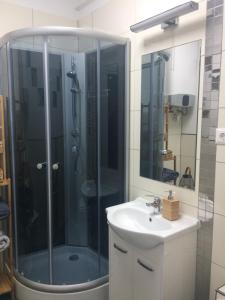 Koupelna v ubytování Magnolia Apartman
