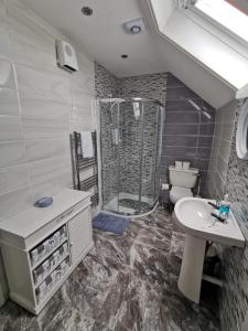 a bathroom with a shower and a sink and a toilet at Molly's Cottage Lahinch in Lahinch