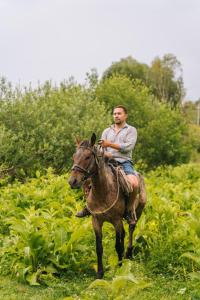 Galeriebild der Unterkunft Гора Глэмпинг in Besqaynar