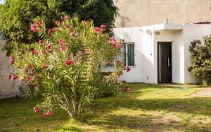 une brousse avec des fleurs roses devant une maison dans l'établissement Patagonia Beach Las Grutas!, à Las Grutas
