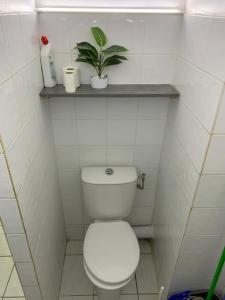 un bagno con servizi igienici e una pianta su una mensola di TRANSIT AFFAIRES - LOISIRS a Pointe-à-Pitre
