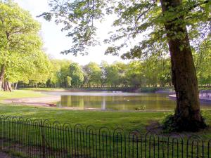 a park with a pond and a fence next to a tree at Villa with Park Views close to Liverpool Centre in Liverpool