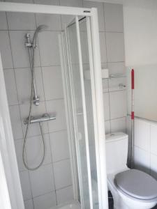 uma casa de banho com um chuveiro e um WC. em L'Orangerie, studio em Estrasburgo