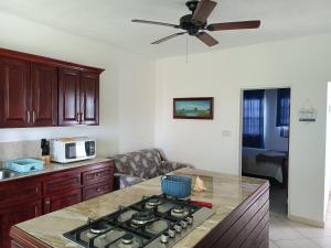 a kitchen with a stove top oven next to a microwave at Holiday Home Belvedere in Dickenson Bay