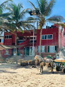 ein Kamel am Strand mit Palmen und einem Gebäude in der Unterkunft La Cabane du Pêcheur Atlantic Evasion in Dakar