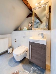 a bathroom with a toilet and a sink and a mirror at Friendly Home - "Helles Dachstudio" Köln Bonn Phantasialand in Bornheim