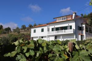 una casa blanca detrás de un montón de uvas en Villa Samaritana - Casa da Vinha, en Vila Marim