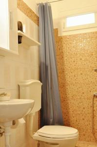 bagno con servizi igienici e lavandino di TasoulasHome 1-μονοκατοικια με αυλη a Komotini