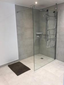 a shower with a glass door in a bathroom at Le Colombier in Annecy