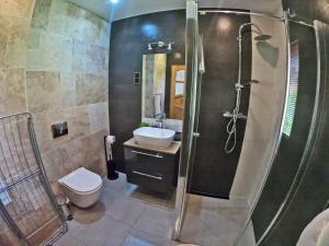 a bathroom with a shower and a toilet and a sink at Domki z widokiem na Tatry in Bańska