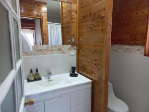 y baño con lavabo, aseo y espejo. en Cabañas Chaya Mapu, en Puerto Aysén