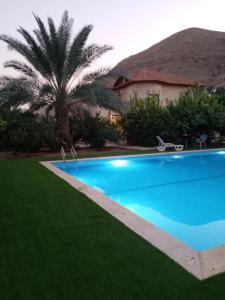 傑里科的住宿－Rimal Villas فلل الرمال，棕榈树屋前的游泳池