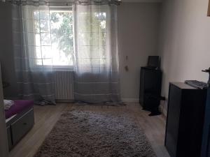 a living room with a window and a rug at Story House 2 in Bragadiru