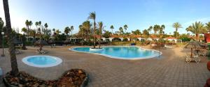 una piscina en un complejo con palmeras en Bungalow Luisy, en Maspalomas