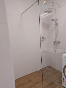 a shower with a glass door in a bathroom at Apartament Zamkowa Park Węgorzewo in Węgorzewo