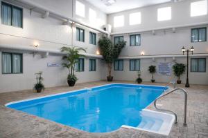 The swimming pool at or close to Heritage Inn Hotel & Convention Centre - High River