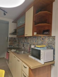a kitchen with a microwave on top of a counter at Studio Apartman Bojana 34m2,free wifi,parking in Sisak