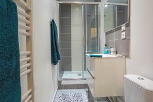 La petite salle de bains est pourvue d'une douche et de toilettes. dans l'établissement Le Rabanesse Studio, à Clermont-Ferrand