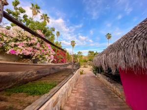 a pathway leading to a building with flowers and palm trees at Rancho Parralito 