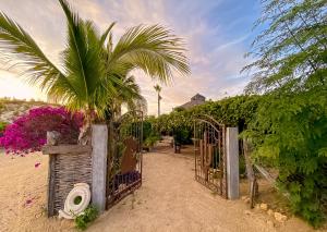 a garden with a gate and a palm tree at Rancho Parralito 