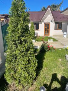 Billede fra billedgalleriet på Casa Roa i Slănic