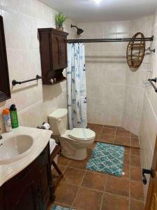 a bathroom with a toilet and a sink at Barrel House Suite St Eustatius in Oranjestad