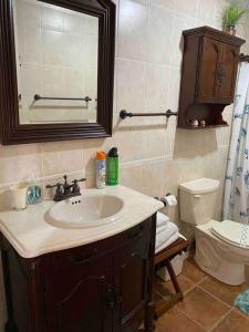 een badkamer met een wastafel, een toilet en een spiegel bij Barrel House Suite St Eustatius in Oranjestad