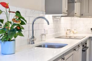 a kitchen with a sink and a potted plant at Dovecote Farm House in Goole