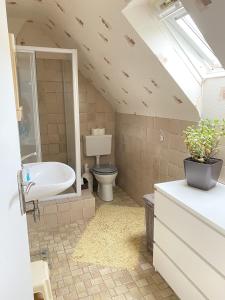 a bathroom with a sink and a toilet in a attic at Maison familiale 152m2 à 10 minutes de Colmar in Wintzenheim