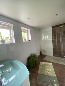 a bathroom with a blue sink and a shower at Maison familiale 152m2 à 10 minutes de Colmar in Wintzenheim