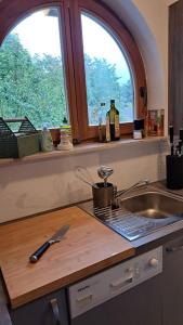 a kitchen counter with a sink and two windows at Gemütliche Waldrandlage in Badenweiler Sehringen Ferienwohnung in Badenweiler