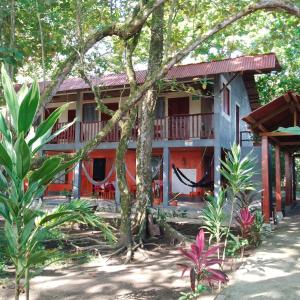 une maison au milieu d'une forêt dans l'établissement Gecko de Tortuguero, à Tortuguero