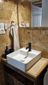 ein Badezimmer mit einem weißen Waschbecken und einem Spiegel in der Unterkunft Studio avec beaucoup de Charme intra muros in Avignon