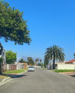 a white car driving down a street with palm trees at Cape Cozy Cottages in Cape Town