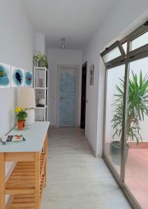 拉斯帕爾馬斯的住宿－La Casa de Koko，一间设有书桌的房间和一扇种植植物的门