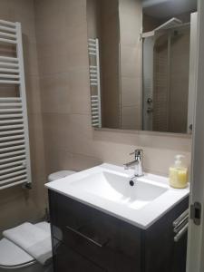薩莫拉的住宿－Los 3 arboles，一间带水槽、镜子和卫生间的浴室