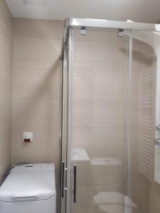 La salle de bains est pourvue d'une douche avec une porte en verre. dans l'établissement Los 3 arboles, à Zamora